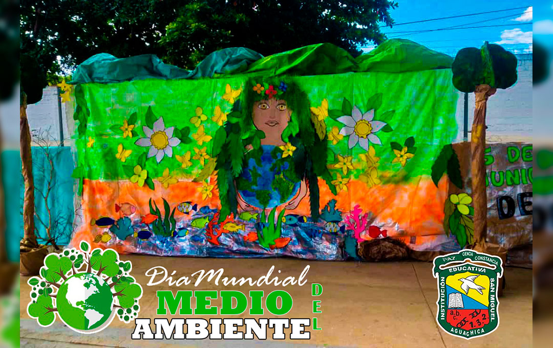Imagen 8